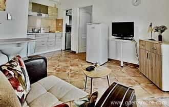 APT 1-1
